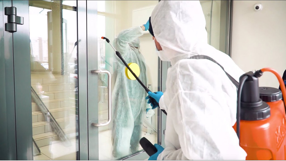 شركة رش حشرات في نجران, رش حشرات في نجران, افضل شركة رش حشرات في نجران, ارخص شركة رش حشرات في نجران, شركة رش حشرات في نجران,  مكافحة حشرات في نجران, افضل شركة مكافحة حشرات في نجران